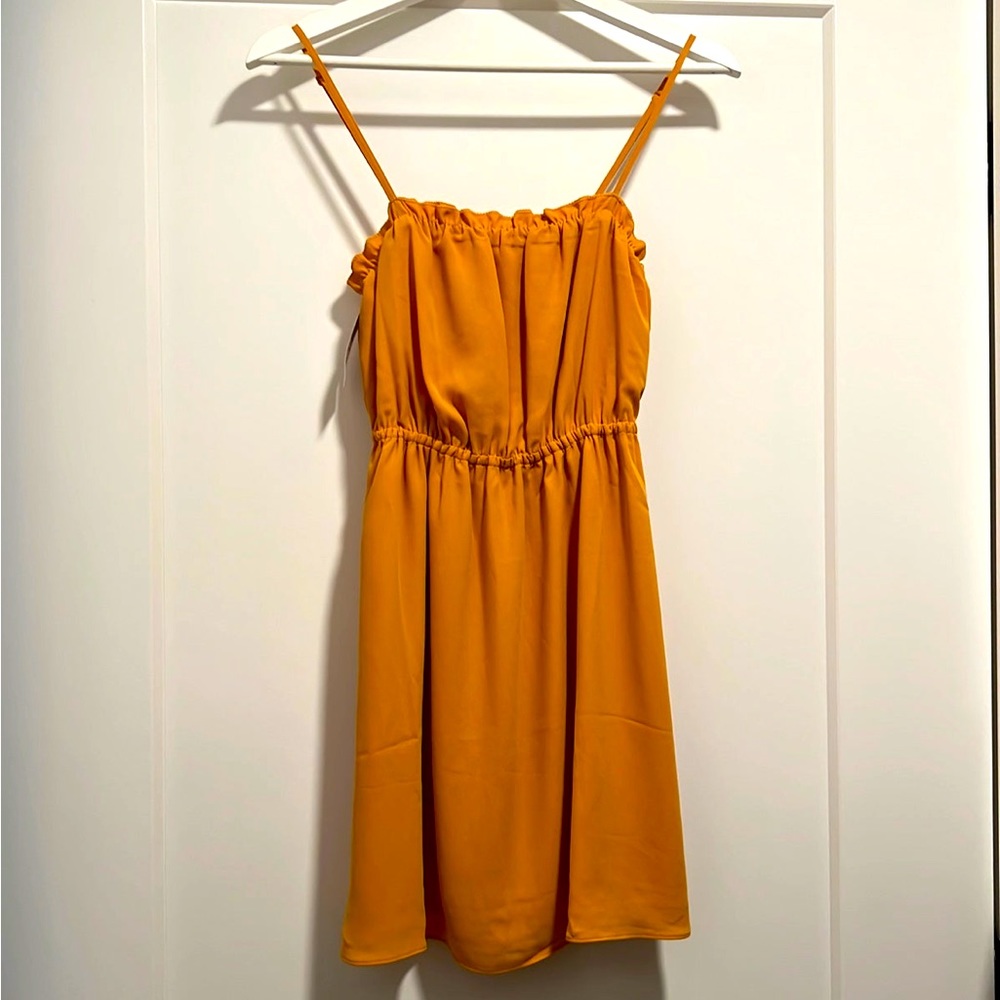 NWT Aritiza Dress